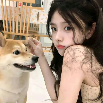 猪猪侠·不可思议的世界